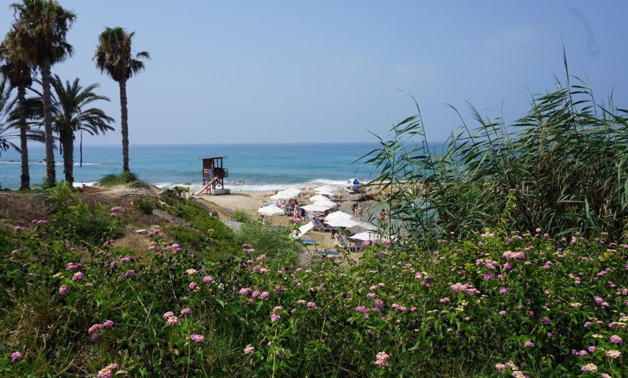 Limnaria Gardens Paphos, Near Beach エクステリア 写真